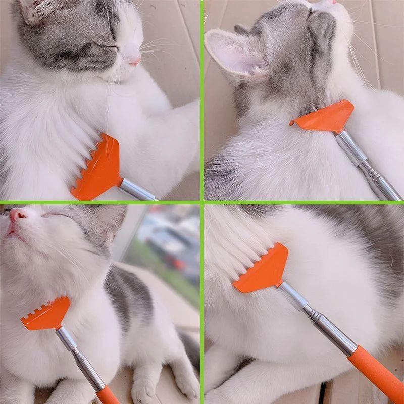KFX-0160701 Retractable Cat Scratching Toy with Massage Brush – Durable Stainless Steel, 20CM to 68CM Length