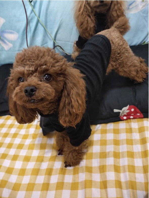 KFX-0161469 Lightweight Pet Bottoming Shirt for Small Dogs - Fashionable Casual Wear