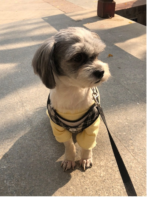 KFX-0161469 Lightweight Pet Bottoming Shirt for Small Dogs - Fashionable Casual Wear