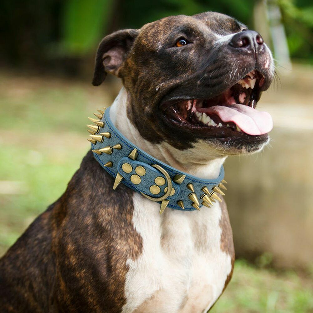 KFX-0162877 Stylish Anti-Bite Collar Chain for Dogs with Adjustable Fit and Extension Chain