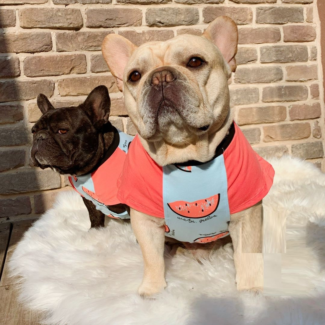 KFX-0163517 Cotton Short Sleeve Dog Apparel for Spring and Autumn, Available in Multiple Sizes