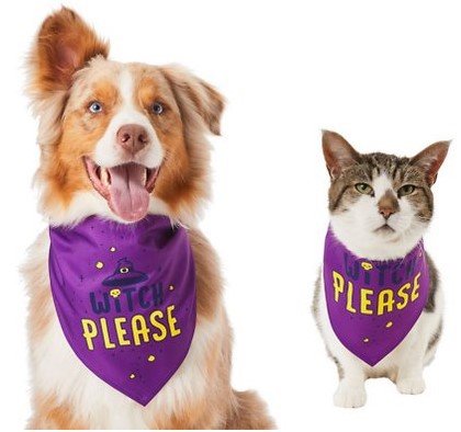KFX-0166461 Triangle Scarf for Pets - Cute and Funny Bib Saliva Towel in Multiple Colors