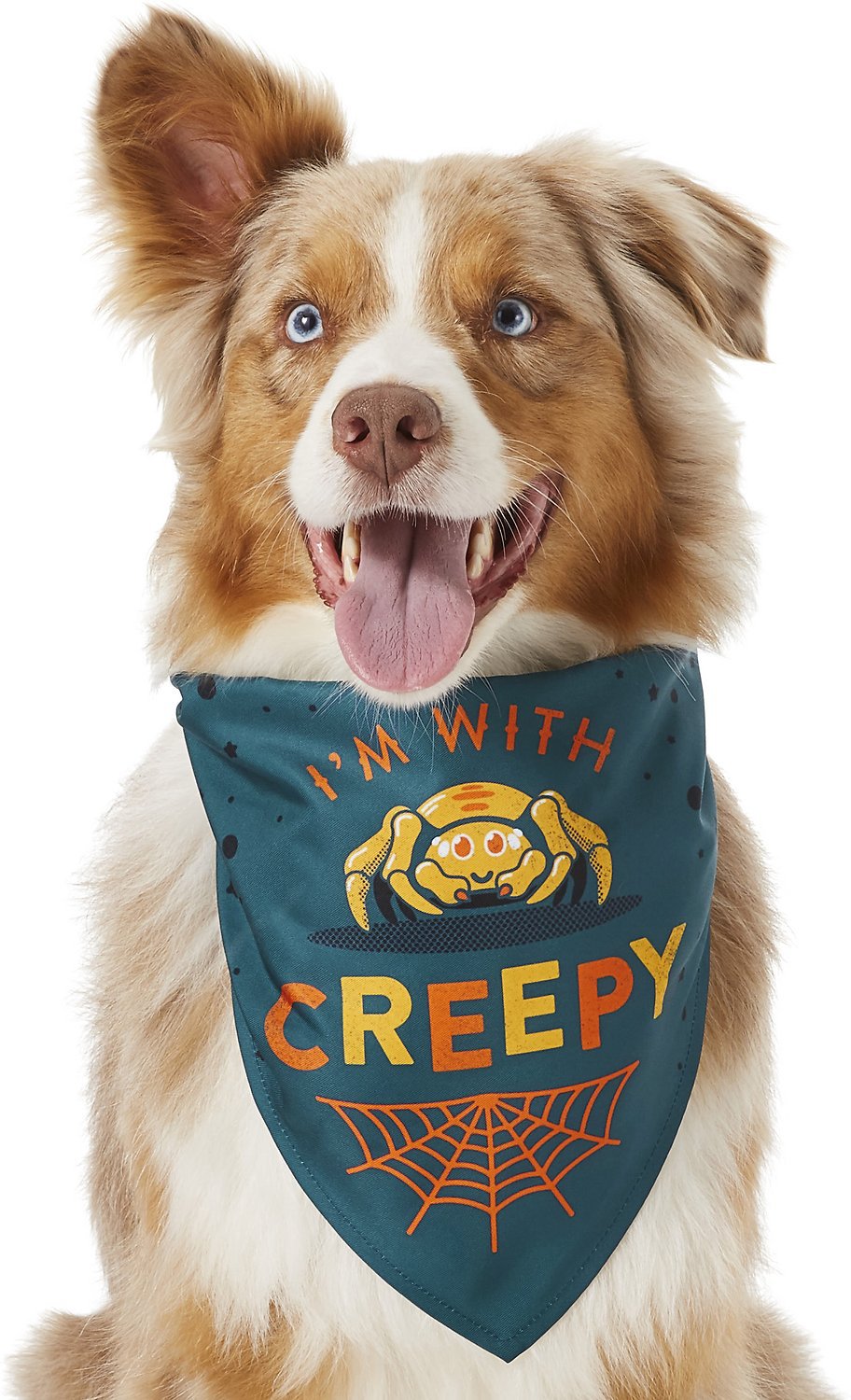 KFX-0166461 Triangle Scarf for Pets - Cute and Funny Bib Saliva Towel in Multiple Colors