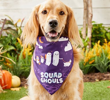 KFX-0166461 Triangle Scarf for Pets - Cute and Funny Bib Saliva Towel in Multiple Colors