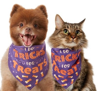 KFX-0166461 Triangle Scarf for Pets - Cute and Funny Bib Saliva Towel in Multiple Colors
