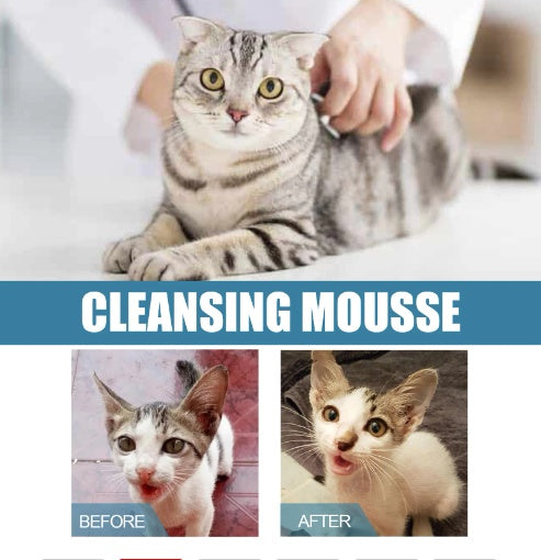 KFX-0166717 Pet Dry Cleaning Foam Wash for Cats and Dogs - Chamomile & Coconut Oil, 60ml
