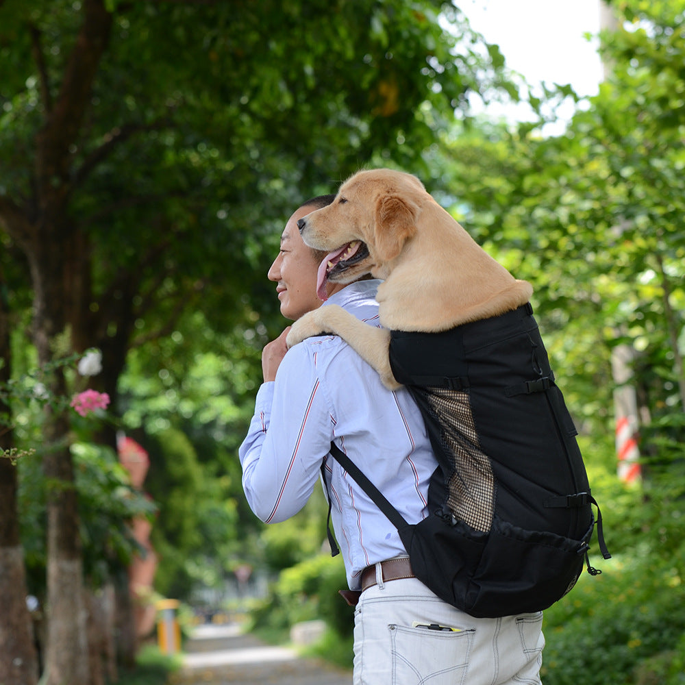 KFX-0176829 Ventilated and Comfortable Pet Travel Backpack with Safety Buckle and Breathable Mesh Strap