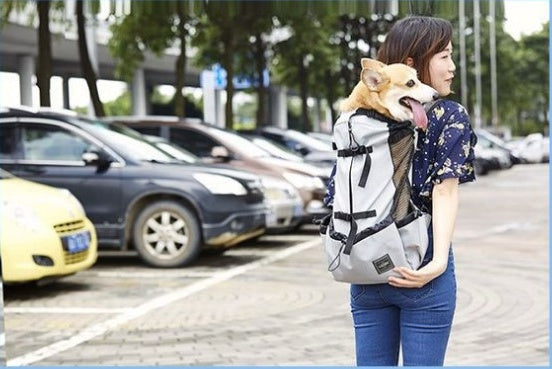 KFX-0176829 Ventilated and Comfortable Pet Travel Backpack with Safety Buckle and Breathable Mesh Strap
