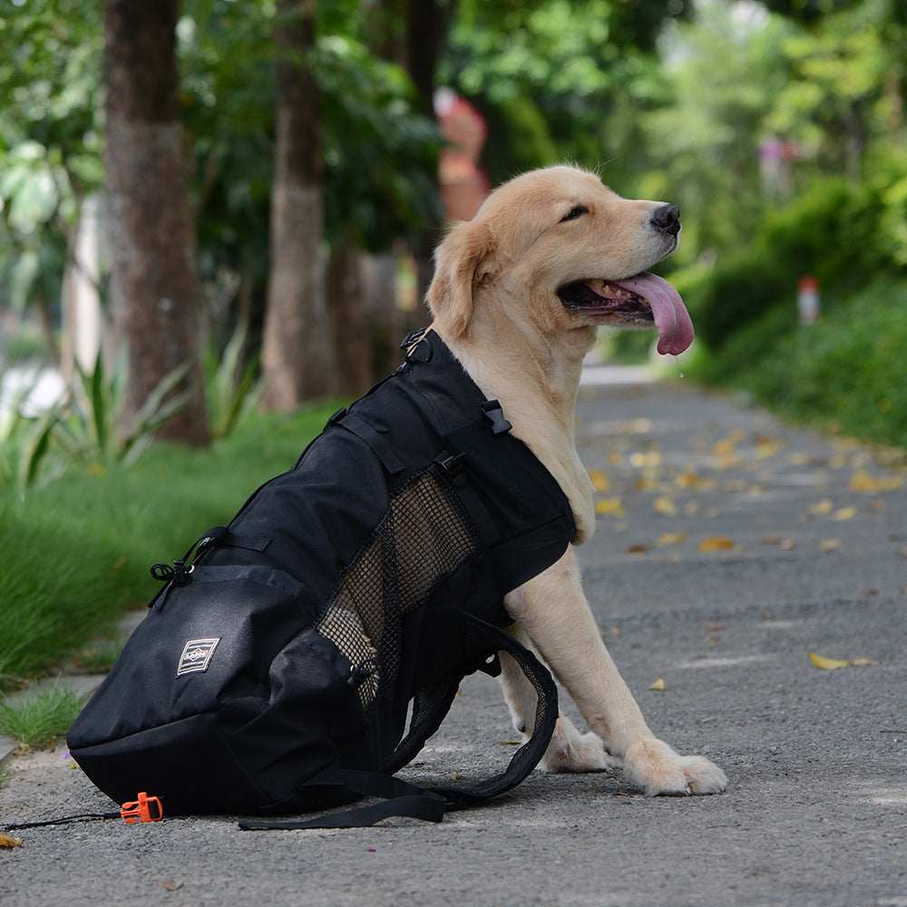 KFX-0176829 Ventilated and Comfortable Pet Travel Backpack with Safety Buckle and Breathable Mesh Strap