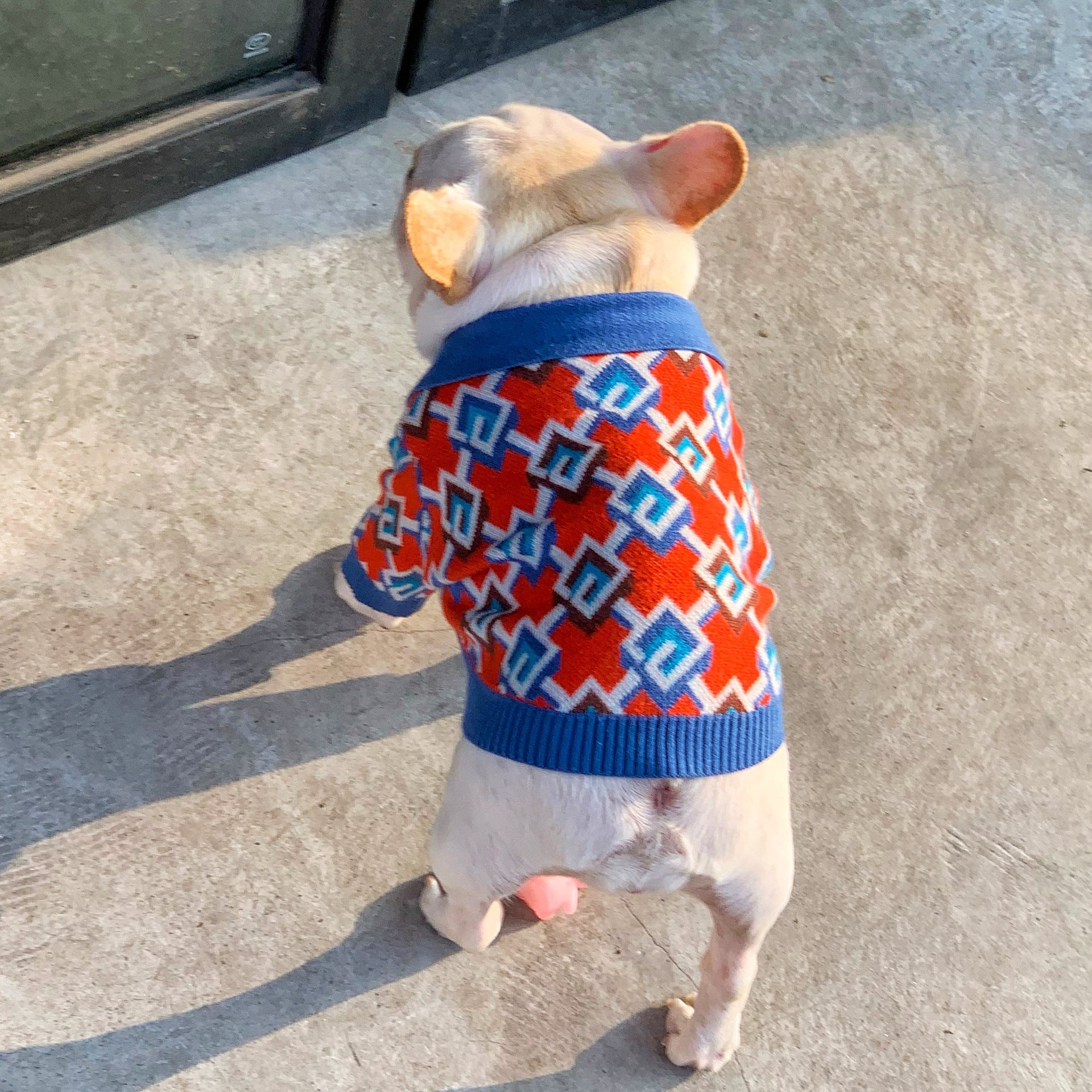 KFX-0178365 Cozy Wool Sweater for Dogs and Cats in Dark Red - Various Sizes Available