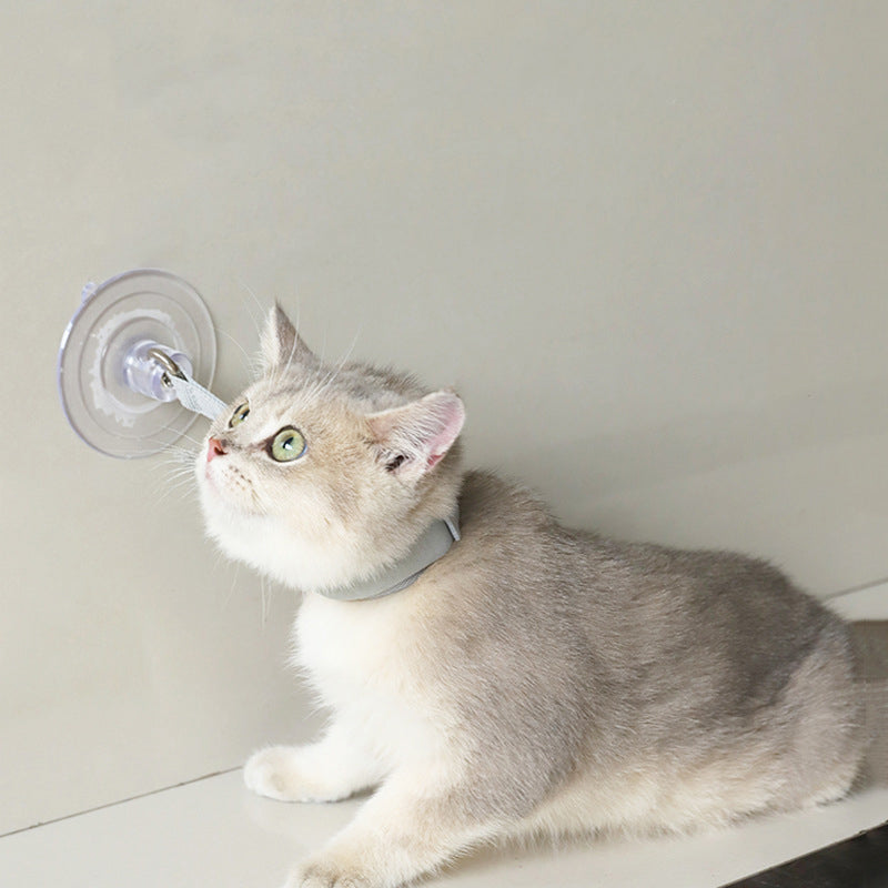 KFX-0182973 Portable Pet Bathing Collar with Suction Cup for Cats and Puppies