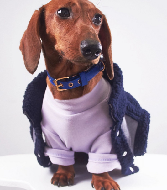 KFX-0184893 Casual Winter Pet Clothing for Cats and Puppies - Warm Suede Lined Attire, Various Sizes Available
