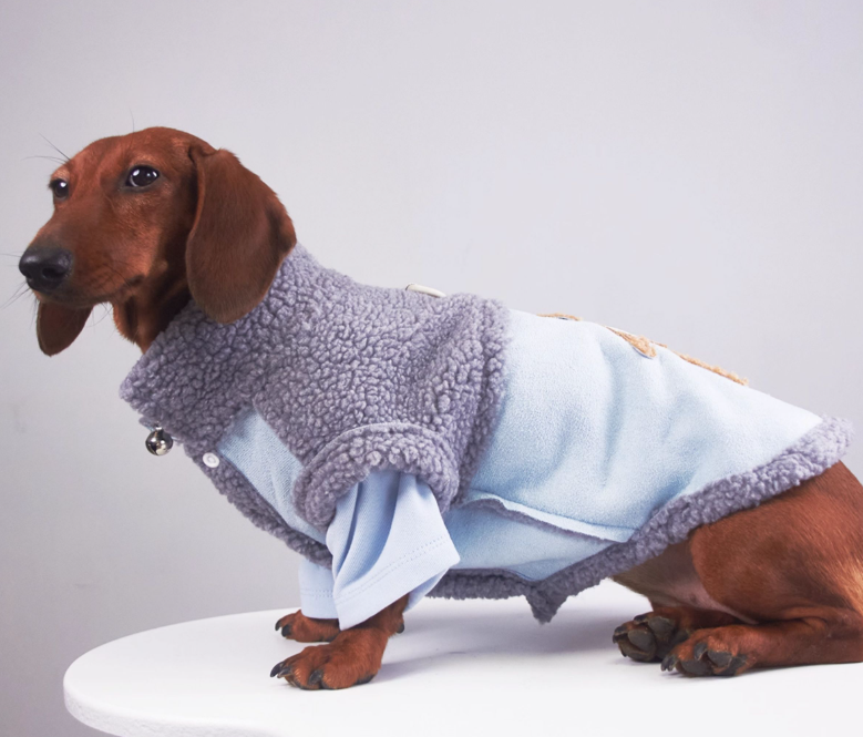 KFX-0184893 Casual Winter Pet Clothing for Cats and Puppies - Warm Suede Lined Attire, Various Sizes Available
