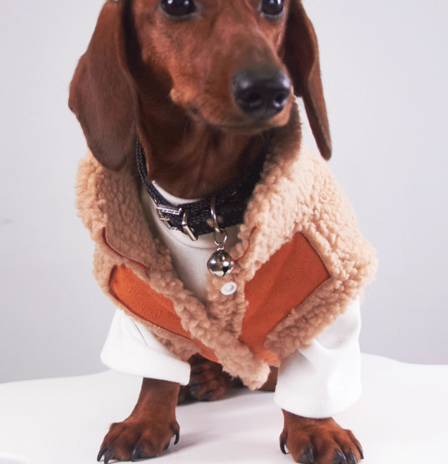 KFX-0184893 Casual Winter Pet Clothing for Cats and Puppies - Warm Suede Lined Attire, Various Sizes Available