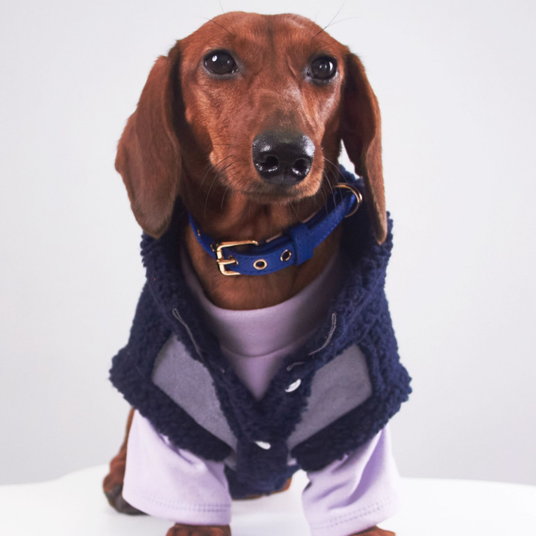 KFX-0184893 Casual Winter Pet Clothing for Cats and Puppies - Warm Suede Lined Attire, Various Sizes Available
