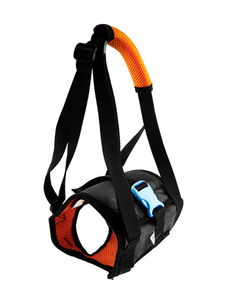 KFX-0185405 Dog Walking Assist Harness for Disabled and Recovering Pets, Adjustable, Soft Polyester, Multiple Sizes Available