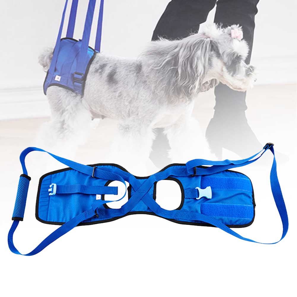 KFX-0185405 Dog Walking Assist Harness for Disabled and Recovering Pets, Adjustable, Soft Polyester, Multiple Sizes Available