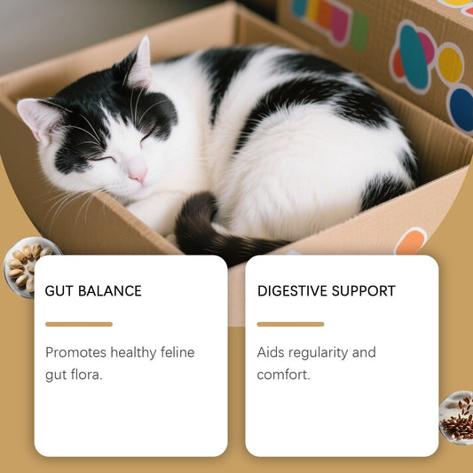 KFX-0191933 Probiotic Soft Pellets for Cats with Pumpkin Seed Extract and Flaxseed Powder