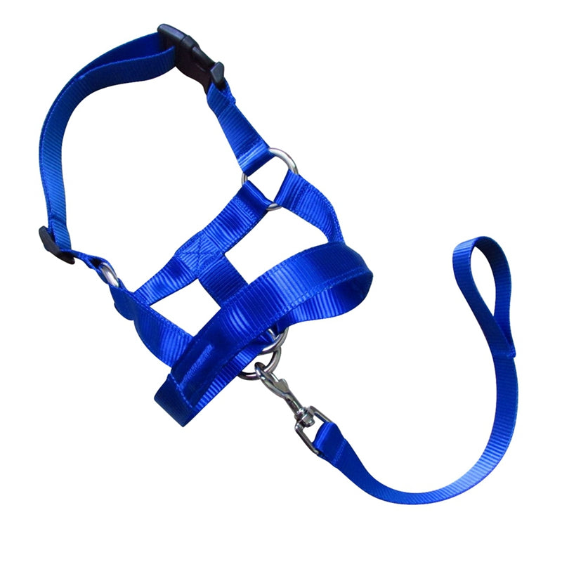 KFX-0195645 Adjustable Anti-Riot Dog Traction Rope for Safe Walking and Training