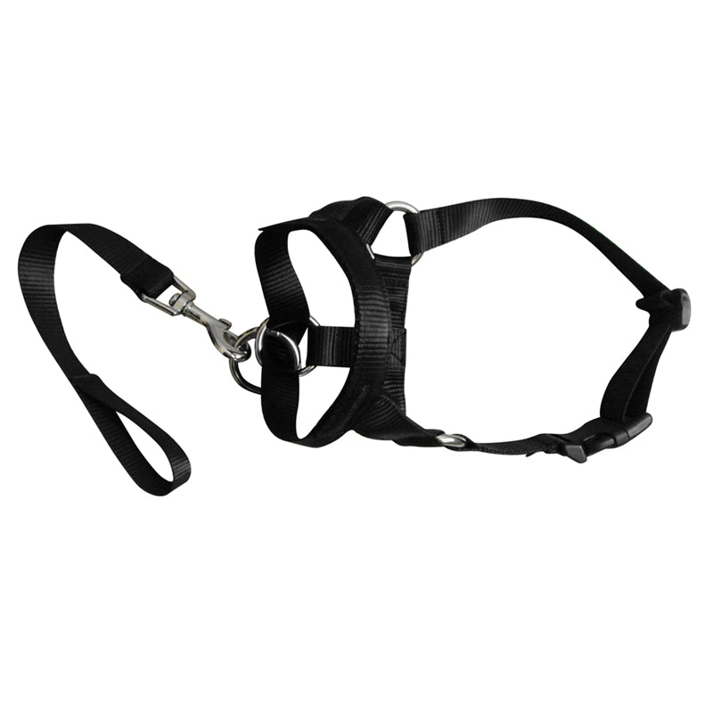 KFX-0195645 Adjustable Anti-Riot Dog Traction Rope for Safe Walking and Training