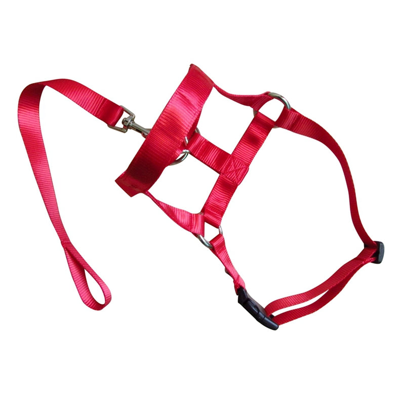 KFX-0195645 Adjustable Anti-Riot Dog Traction Rope for Safe Walking and Training
