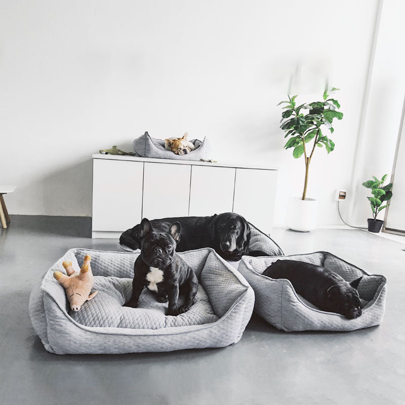 KFX-0195901 Cozy Nordic Gray Teddy for Golden Retrievers - Year-Round Comfort in Large Size