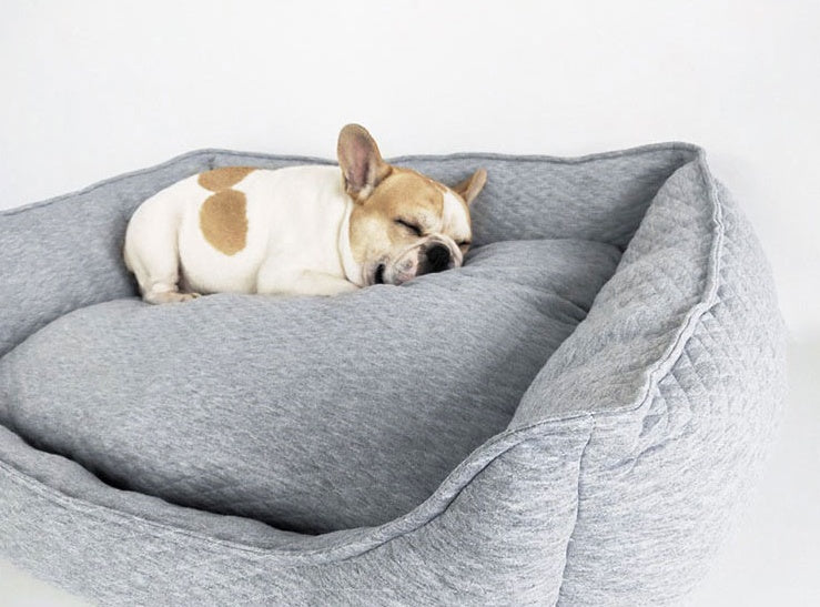KFX-0195901 Cozy Nordic Gray Teddy for Golden Retrievers - Year-Round Comfort in Large Size