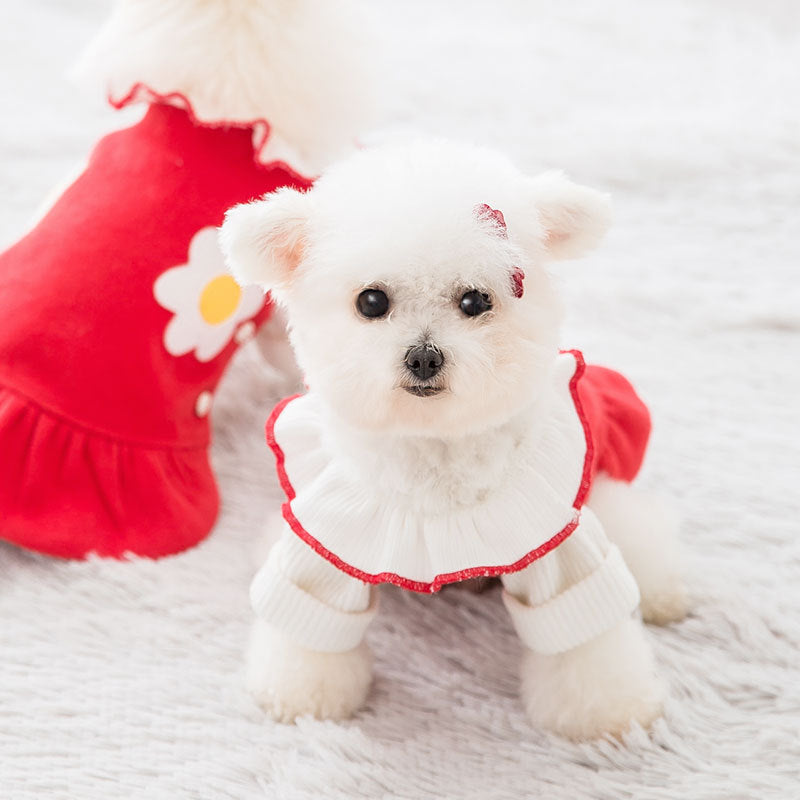 KFX-0198205 Daisy Flower Princess Woolen Skirt for Pets - Multiple Sizes Available