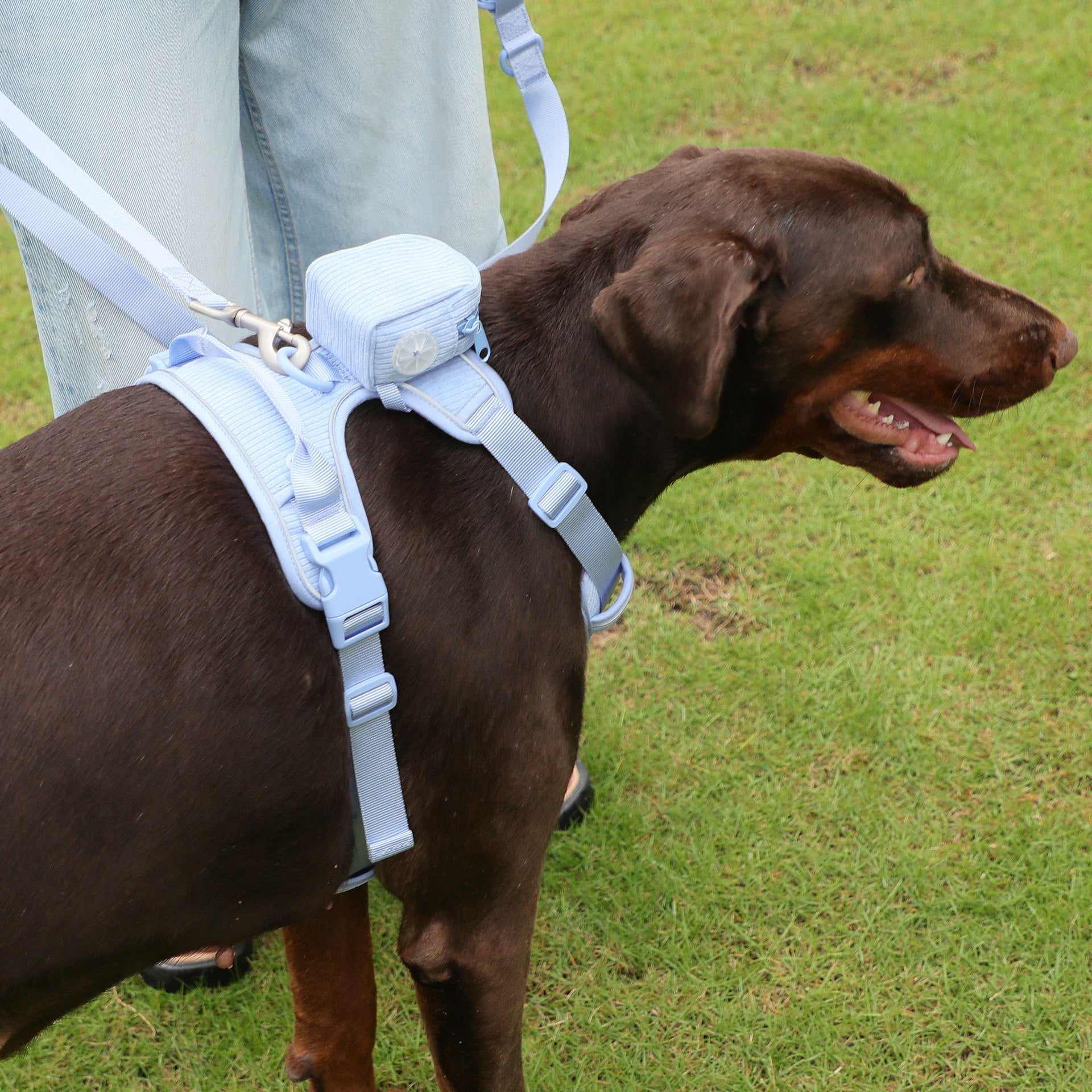KFX-0201405 Baby Blue Pet Collar and Leash Set with Chest Back Harness and Mini Schoolbag Waste Bag Holder