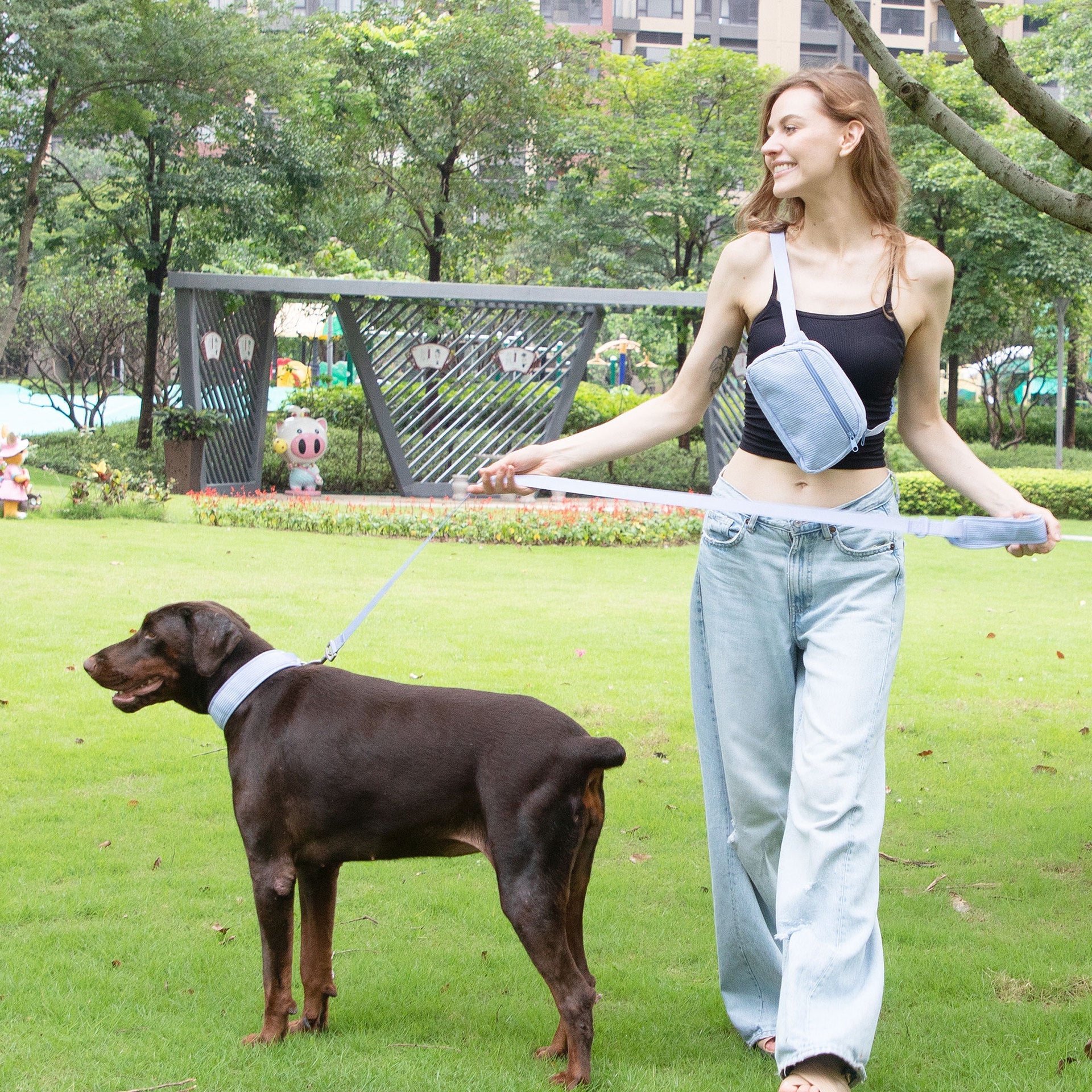 KFX-0201405 Baby Blue Pet Collar and Leash Set with Chest Back Harness and Mini Schoolbag Waste Bag Holder