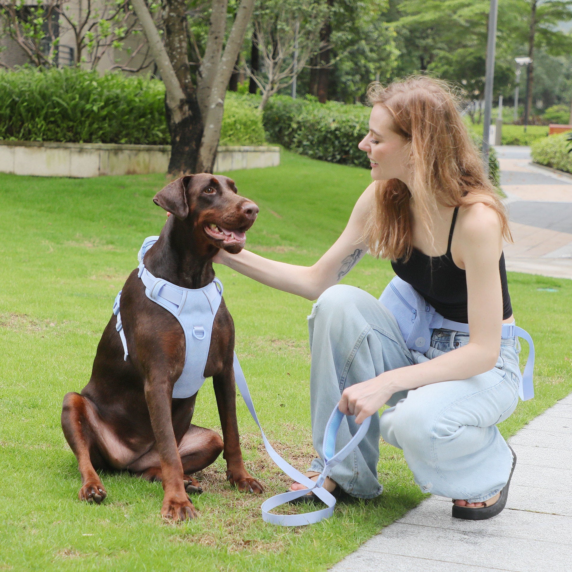 KFX-0201405 Baby Blue Pet Collar and Leash Set with Chest Back Harness and Mini Schoolbag Waste Bag Holder