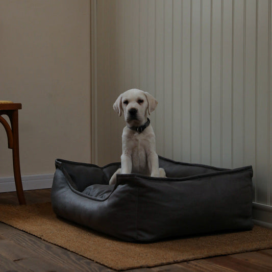 KFX-0201661 Waterproof Imitation Leather Pet Bed Sofa - Available in Light Gray, Gray, and Brown