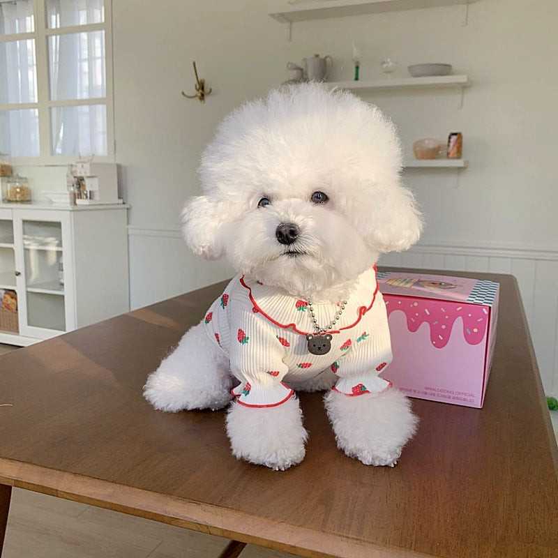 KFX-0202173 Casual Pet Strawberry Bottoming Shirt in White, Strawberry, and Pink - Size XS to XL