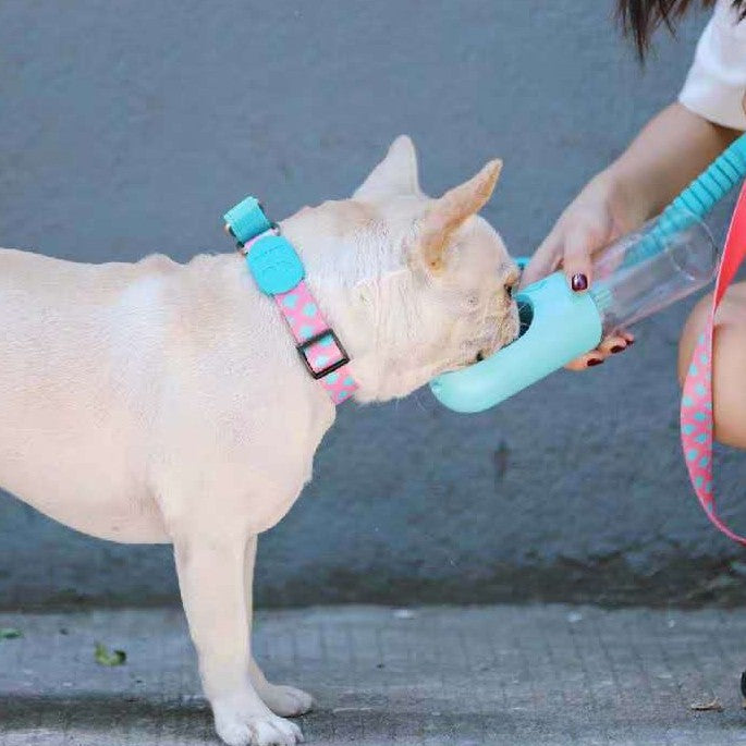 KFX-0209341 Explosion-proof Pet Traction Neckband - Durable Nylon Collar in Sunrise, Bobby, Hill Mark, Florida Colors