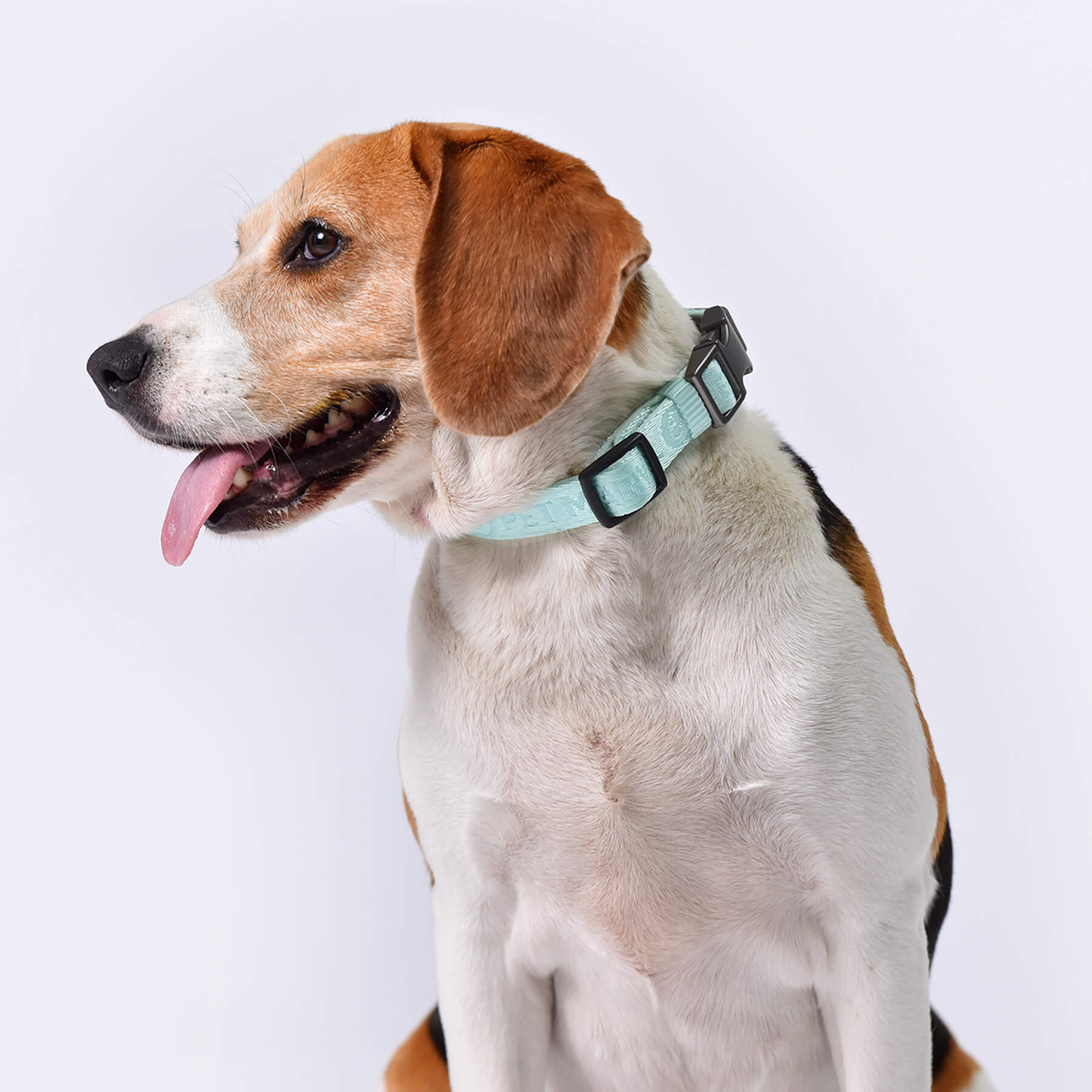 KFX-0214589 Adjustable Neoprene Padded Dog Collar with Side-Release Buckle and D-Ring, 1 Inch Wide
