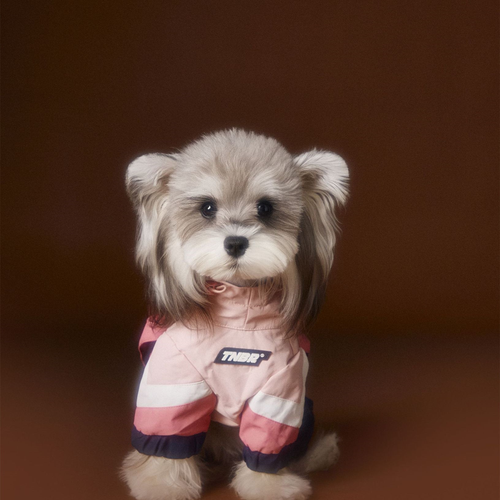KFX-0217661 Bichon Schnauzer Teddy Four-Legged Sportswear with Traction Rope Buckle, Casual Pet Clothing in Various Sizes