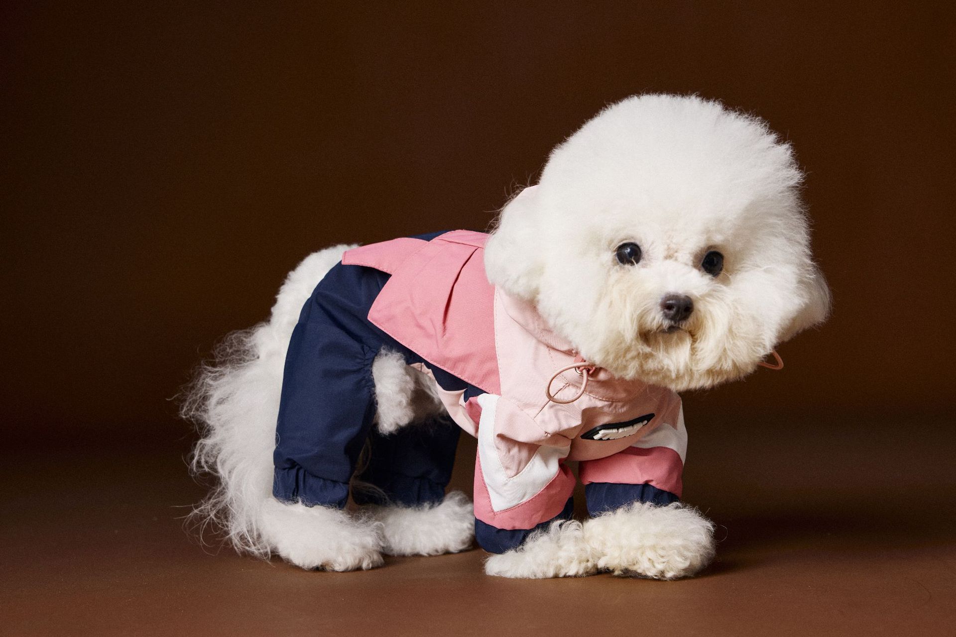 KFX-0217661 Bichon Schnauzer Teddy Four-Legged Sportswear with Traction Rope Buckle, Casual Pet Clothing in Various Sizes