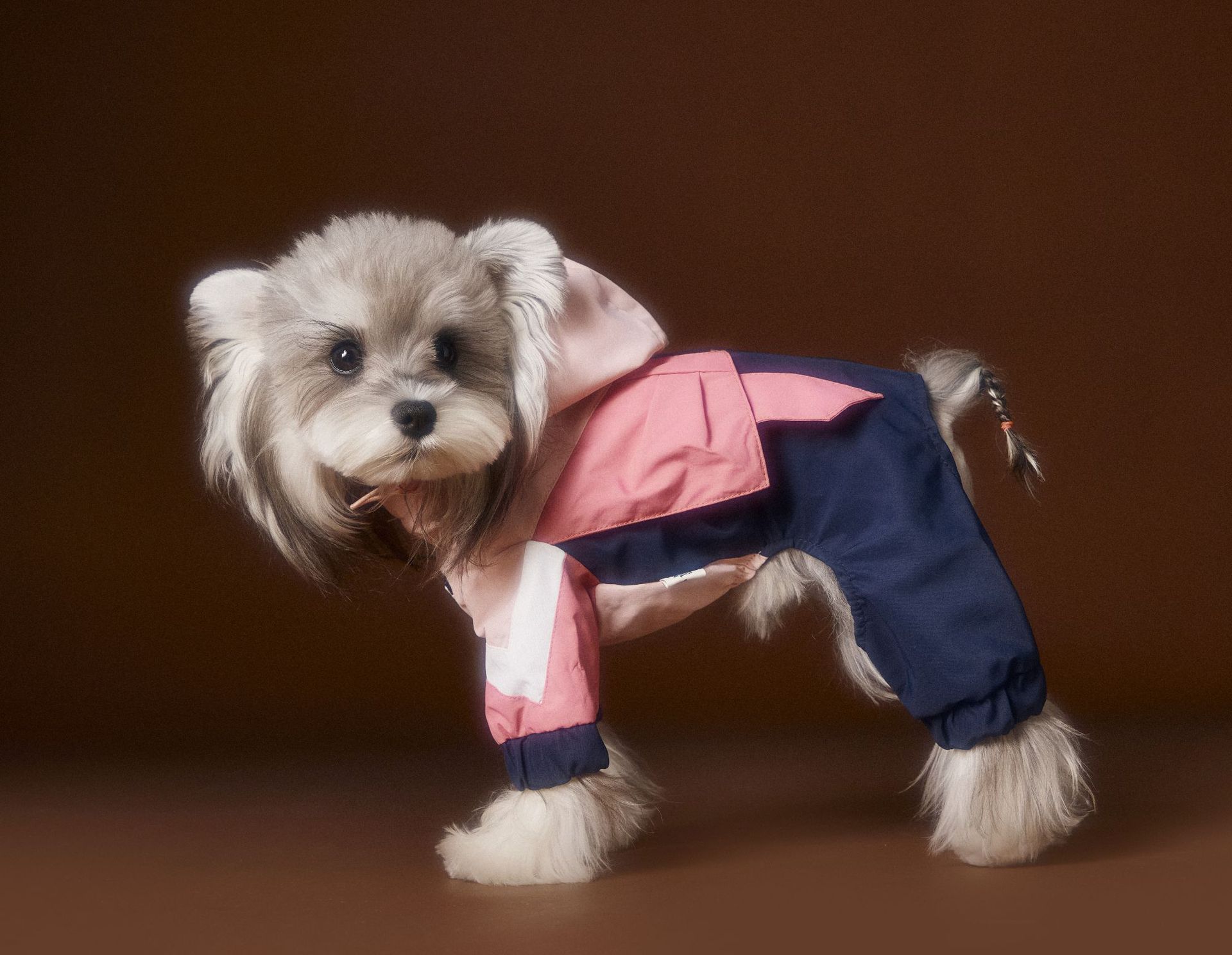KFX-0217661 Bichon Schnauzer Teddy Four-Legged Sportswear with Traction Rope Buckle, Casual Pet Clothing in Various Sizes