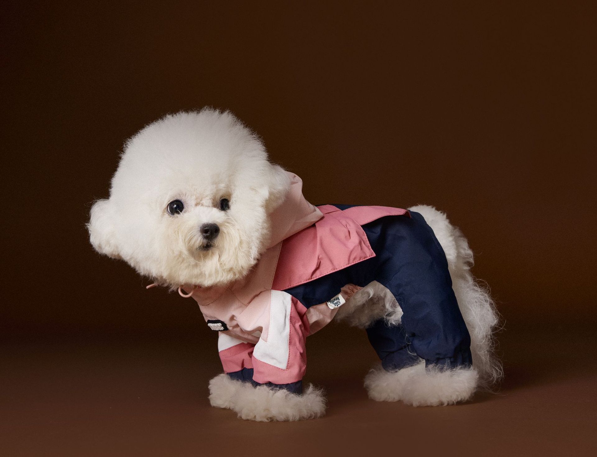 KFX-0217661 Bichon Schnauzer Teddy Four-Legged Sportswear with Traction Rope Buckle, Casual Pet Clothing in Various Sizes