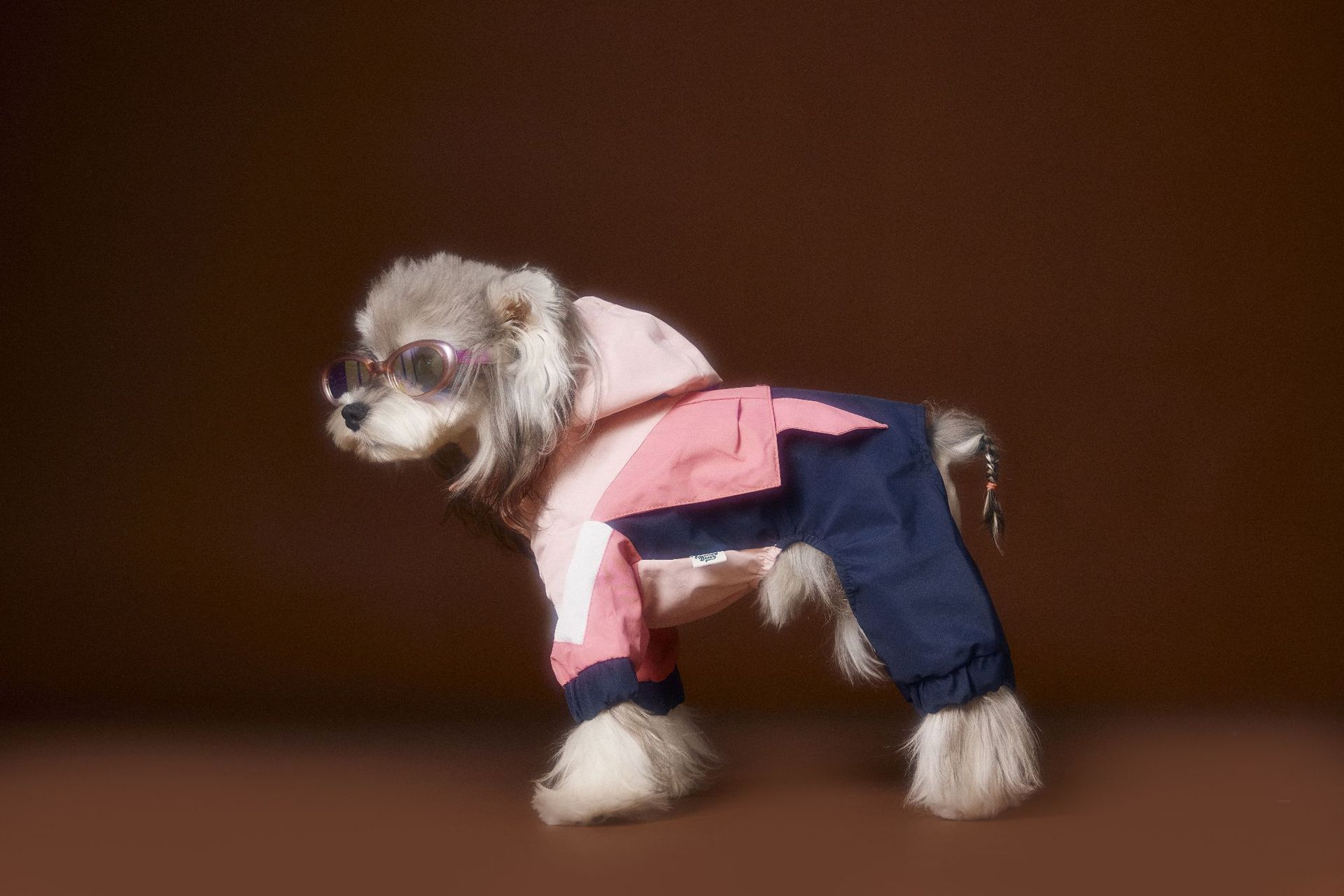 KFX-0217661 Bichon Schnauzer Teddy Four-Legged Sportswear with Traction Rope Buckle, Casual Pet Clothing in Various Sizes