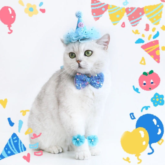 KFX-0221117 Cat Party Outfit Set - Pink or Blue Birthday Hat, Bow Tie & Flower Collar