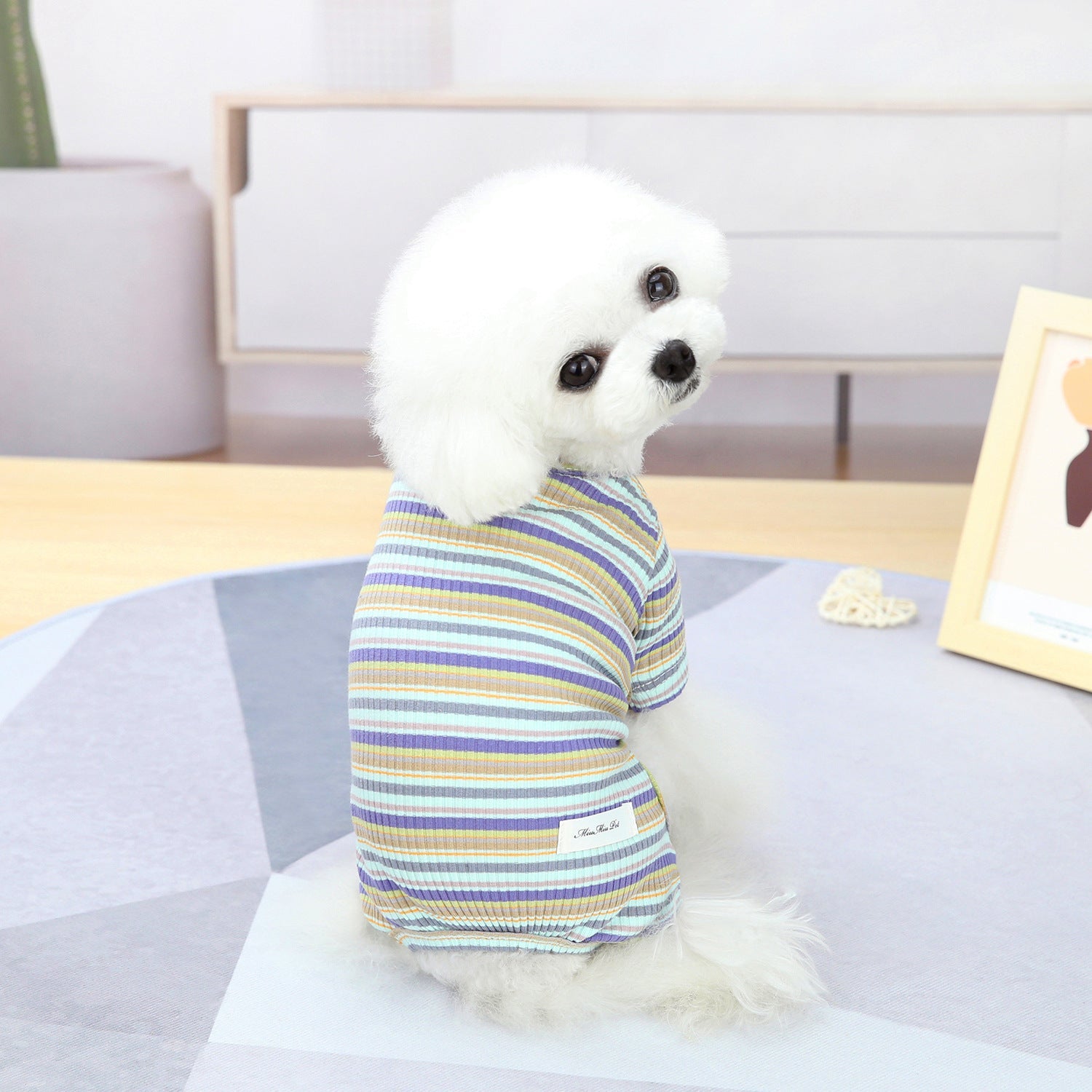 KFX-0221245 Stylish Striped Cotton Loungewear for Pets in Blue, Orange & Grey