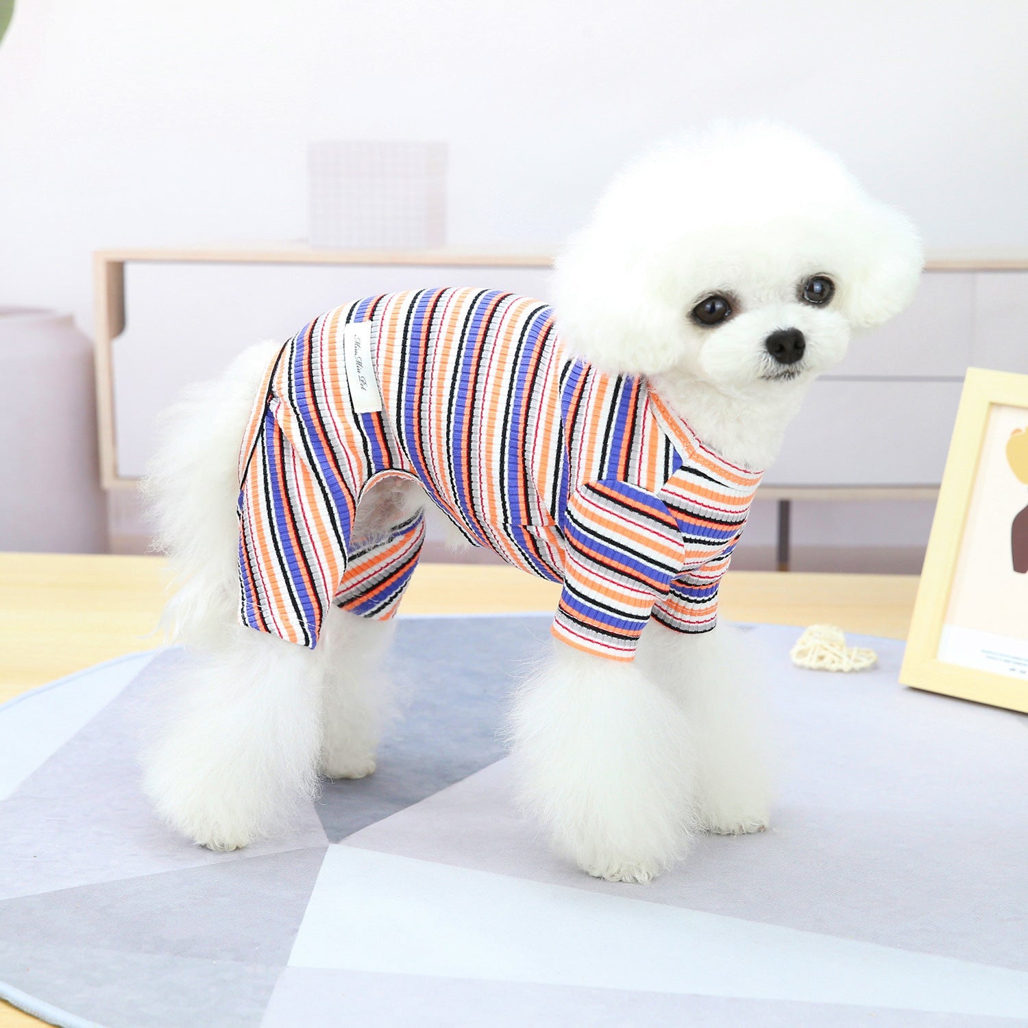 KFX-0221245 Stylish Striped Cotton Loungewear for Pets in Blue, Orange & Grey