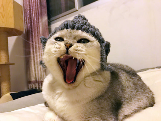 KFX-0223677 Cute Knitted Cat Hat for Pets - Available in Various Sizes