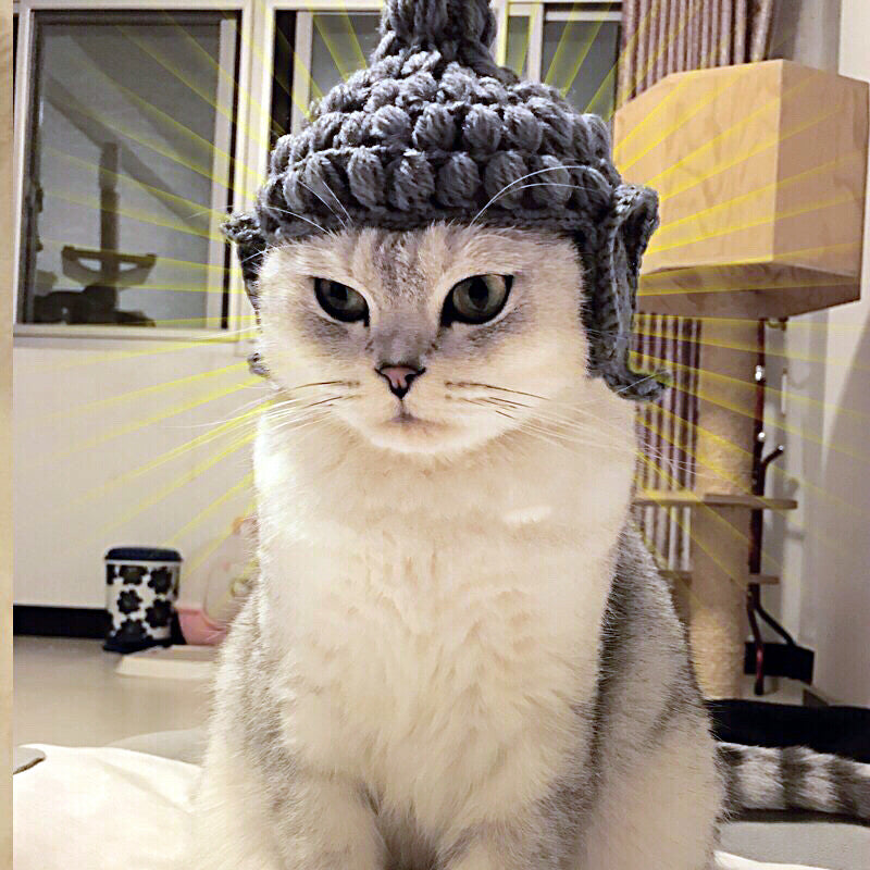 KFX-0223677 Cute Knitted Cat Hat for Pets - Available in Various Sizes