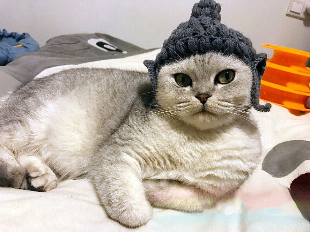 KFX-0223677 Cute Knitted Cat Hat for Pets - Available in Various Sizes