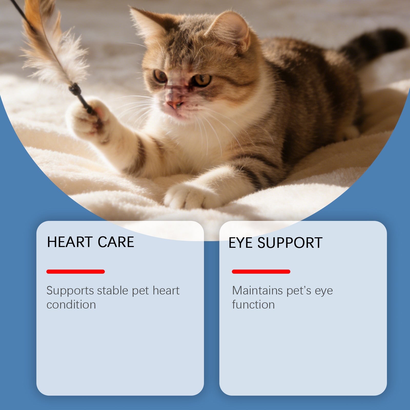 KFX-0224701 Cat Taurine Powder with DHA and Vitamins for Optimal Feline Health