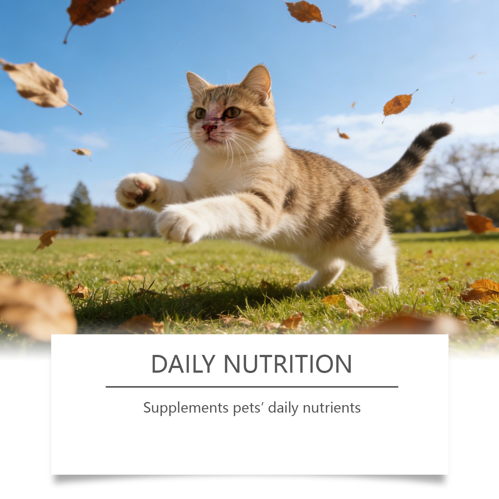 KFX-0224701 Cat Taurine Powder with DHA and Vitamins for Optimal Feline Health