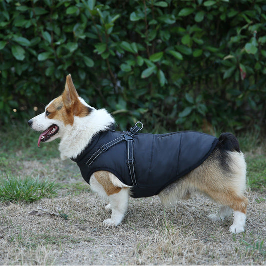 KFX-0227005 Multicolor Casual Pet Clothing for Warmth - XS to 2XL Sizes Available