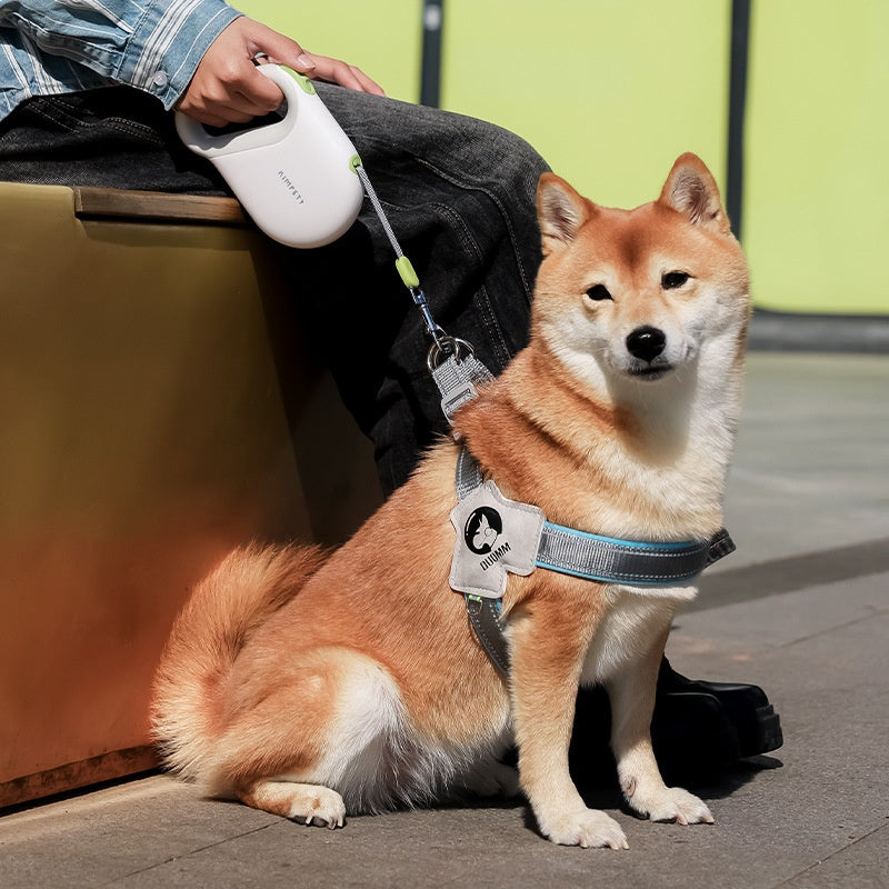 KFX-0234173 Retractable Pet Leash with Handheld Control - 3m, 5m, 8m Options Available